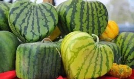 吃瓜大瓜事件,揭秘网络舆论狂欢背后的真相