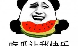 朝阳吃瓜群众一枚