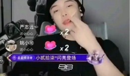 网红黑料是什么意思,网络舆论背后的真相与反思